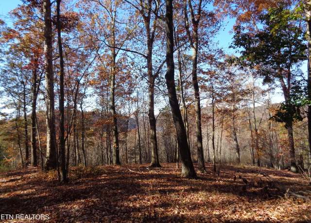 Property at Twin Feathers Dr, Rockwood, TN 37854