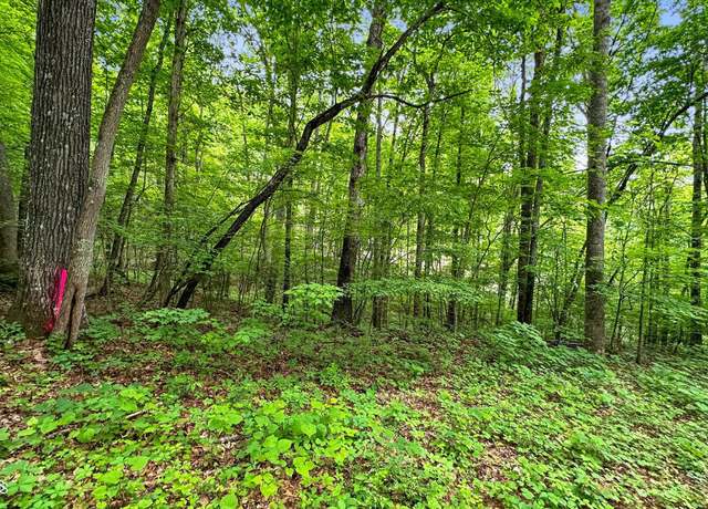 Property at Graves Hollow Lot 2 Rd, Maynardville, TN 37807