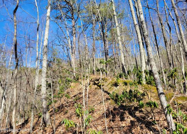 Property at John Sevier Dr, Sevierville, TN 37876