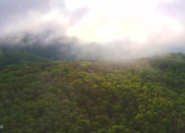 Property at 5.41 Acres Raenne Dr, Spring City, TN 37381