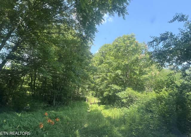 Property at 130 Earl Gooch Rd, Lancing, TN 37770