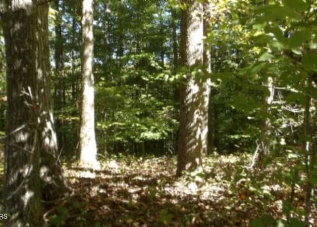 Property at Lot 2 Inland Ct, Sparta, TN 38583