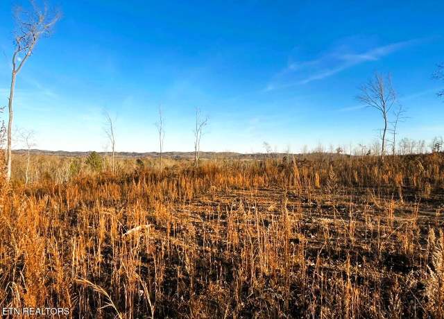Property at 16.67 ac Euchee Rd, Ten Mile, TN 37880