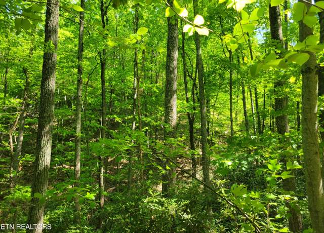 Property at Lot 8 John Sevier Dr, Sevierville, TN 37876