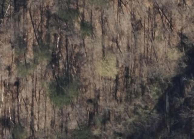 Property at 139 Collins Gap Rd, Heiskell, TN 37754