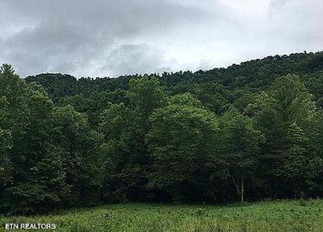 Property at Stanley Creek Rd, Oneida, TN 37841