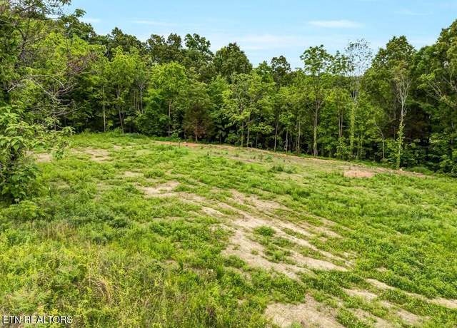 Property at 0 Ostrich Ln, Rutledge, TN 37861