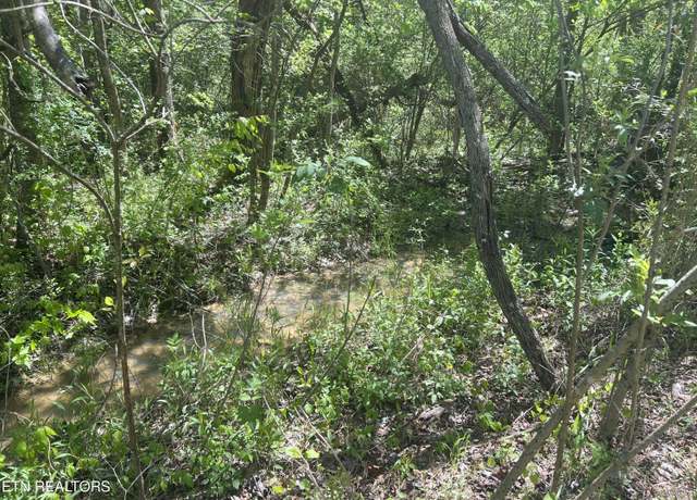 Property at Dunn Rd, Tellico Plains, TN 37385