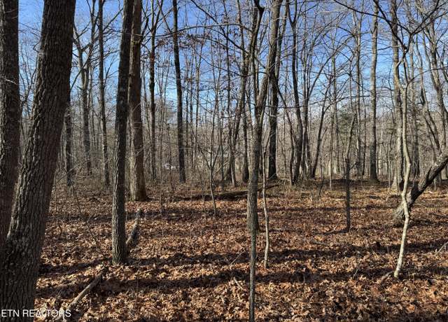 Property at Sycamore Bnd, Monterey, TN 38574
