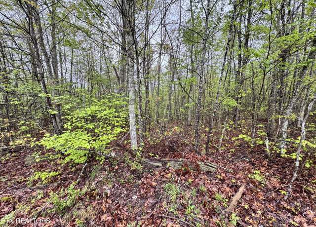Property at 60268 Red Rock Ln, Crawford, TN 38554