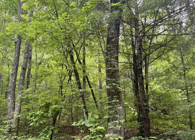 Property at 836 Steer Creek Rd, Tellico Plains, TN 37385