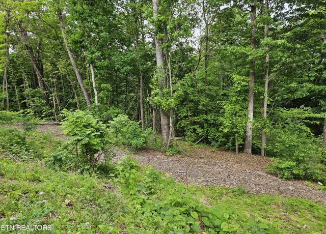 Property at Whitman Hollow Rd, Lafollette, TN 37766