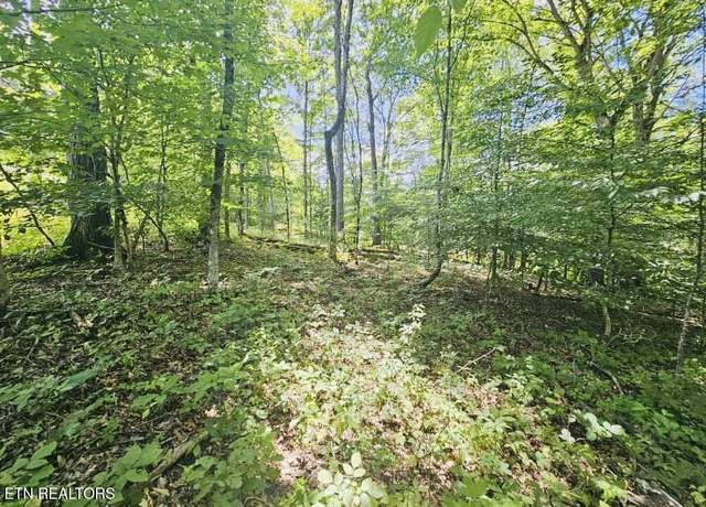 Property at 109 Odali Ln, Loudon, TN 37774