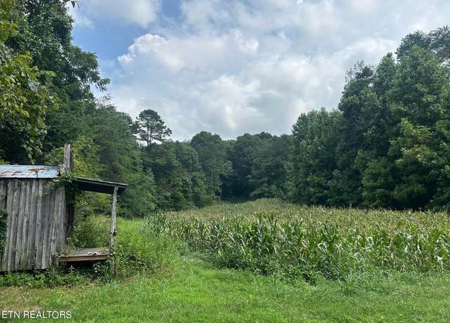 Property at Lot 17 Pleasant View Cemetery Rd, New Market, TN 37820