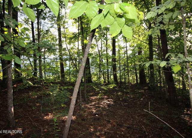 Property at 523 Rudd Hollow Rd, Townsend, TN 37882