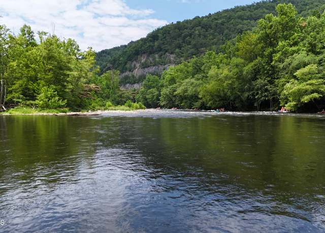 Property at 4320 Barnes Hollow Rd, Cosby, TN 37722