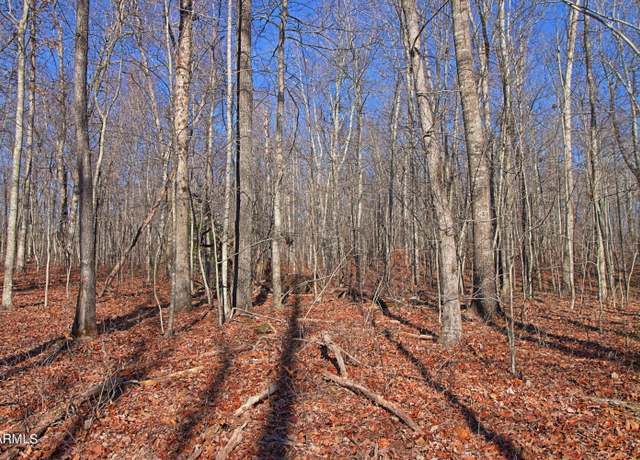 Property at 72 Acres Cole Place Rd, Allardt, TN 38504