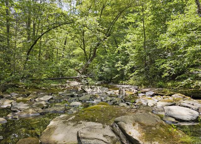 Property at Big Spring Rd, Oneida, TN 37841