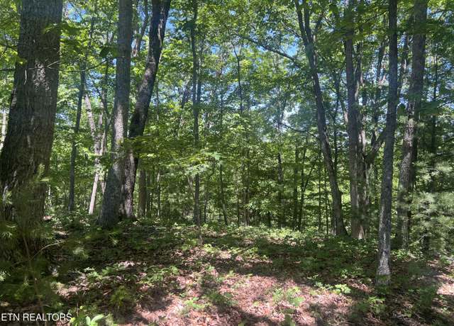 Property at 33 Camden Ct, Fairfield Glade, TN 38558