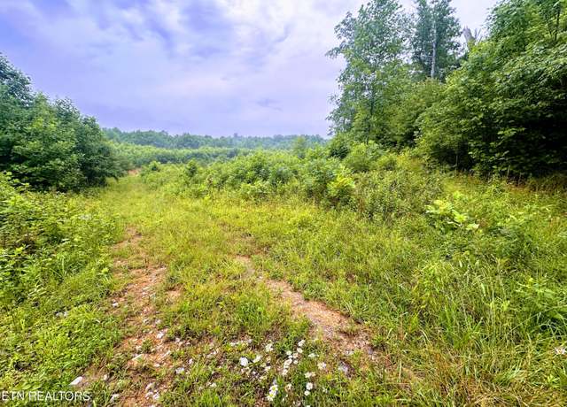 Property at 13.44 Ac Chestnut Ridge Rd, Allardt, TN 38504