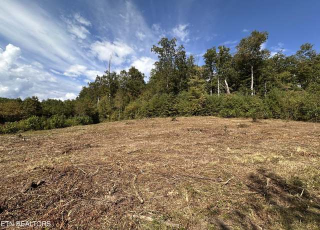 Property at 13.44 Ac Chestnut Ridge Rd, Allardt, TN 38504