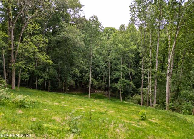 Property at 800 Lake Forest Dr, Lenoir City, TN 37772