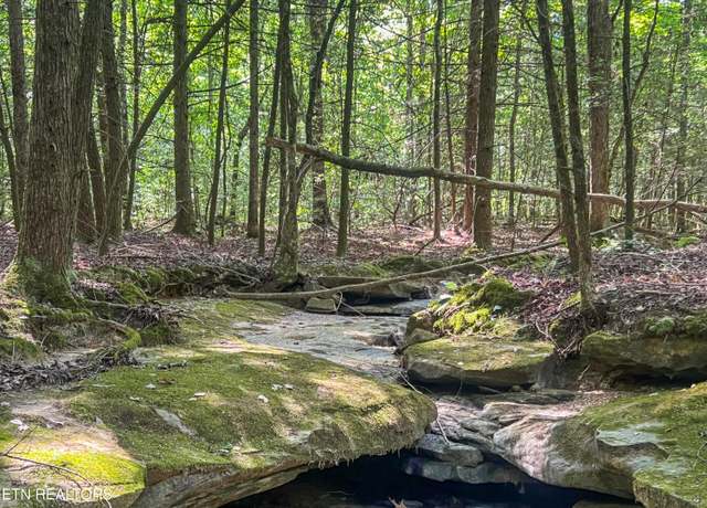 Property at Willie Boyatt Rd, Oneida, TN 37841