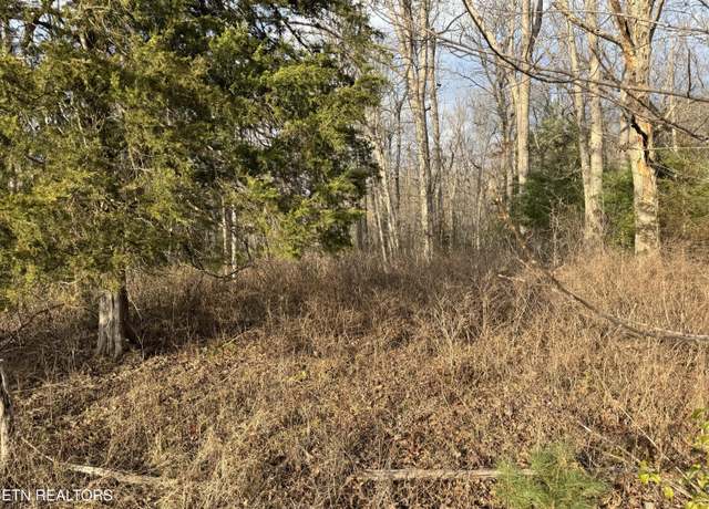 Property at 0 Laurel Dale Cemetary Rd, Rugby, TN 37733