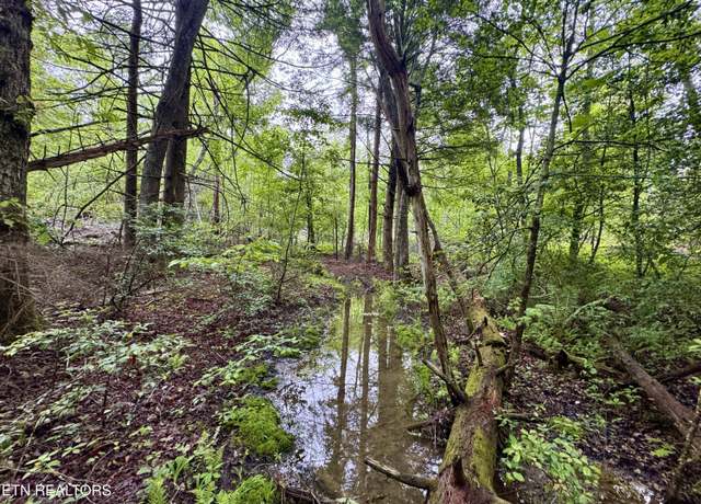 Property at Abe Ln, Lancing, TN 37770