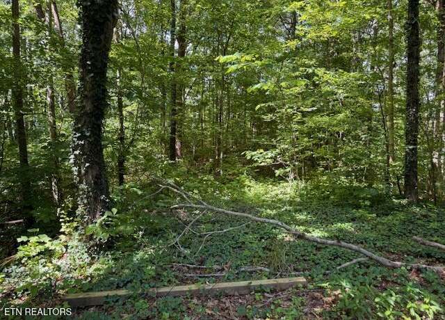 Property at Bates Gibson Rd, Sevierville, TN 37876