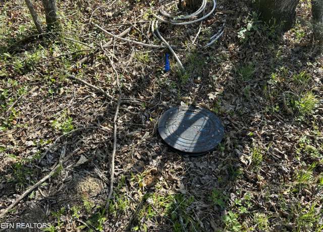 Property at Brewstertown Cemetery Rd, Robbins, TN 37852