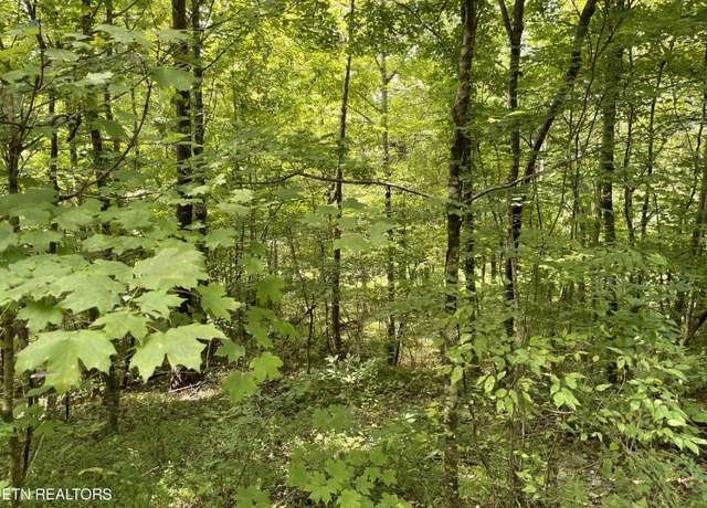 Property at Dry Fork Valley Rd. Rd, Ten Mile, TN 37880