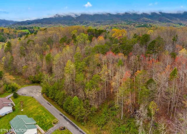 Property at 0 English Fields Dr, Newport, TN 37821