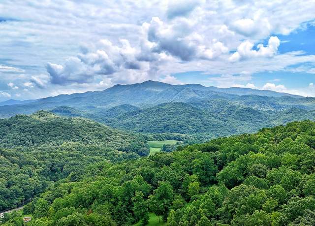 Property at 45 Acres S Highway 340, Parrottsville, TN 37843