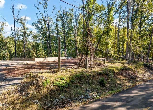 Property at 313 Chelaque Way, Mooresburg, TN 37811