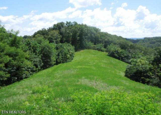 Property at Lot 65AA Turtle Rd, Hilham, TN 38568
