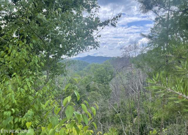 Property at River Birch Way, Sevierville, TN 37862