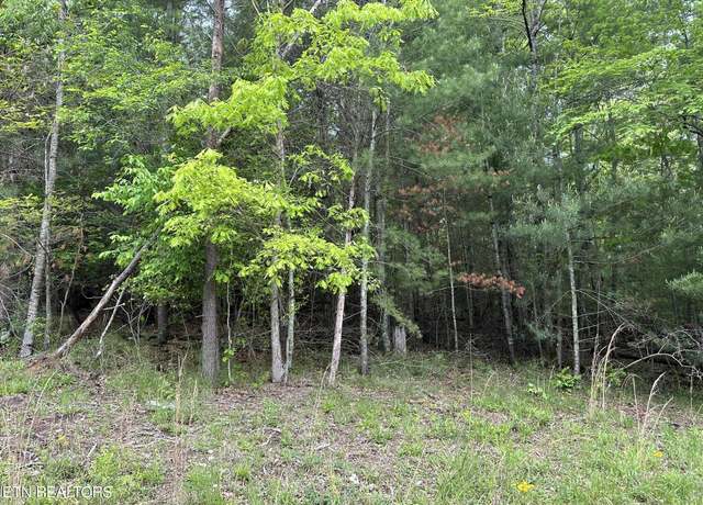 Property at 114 Forest Hill Dr, Fairfield Glade, TN 38558