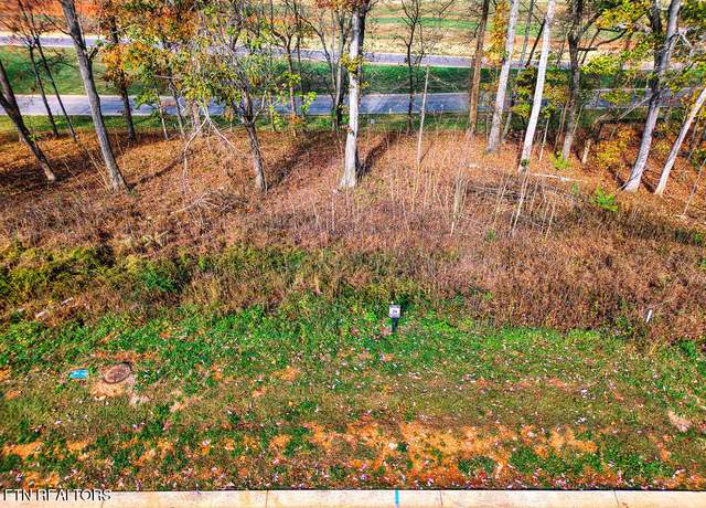 Property at 1673 Black Cove Ln, Loudon, TN 37774