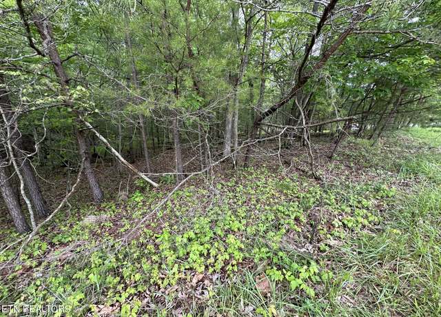 Property at 110 Forest Hill Dr, Fairfield Glade, TN 38558