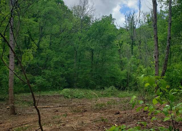 Property at 397 Moore Hollow Rd, Newport, TN 37821