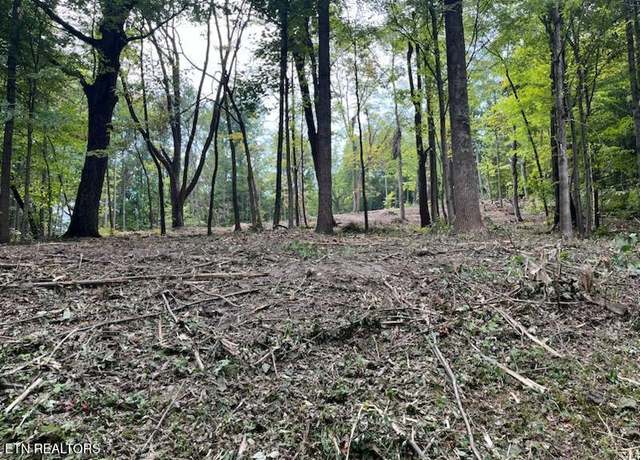 Property at W Hemlock St, Lafollette, TN 37766
