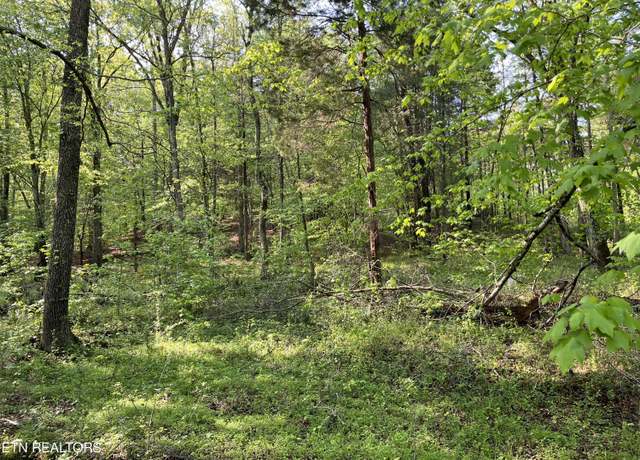 Property at Lot 4 Womack Hollow Rd, Ten Mile, TN 37880