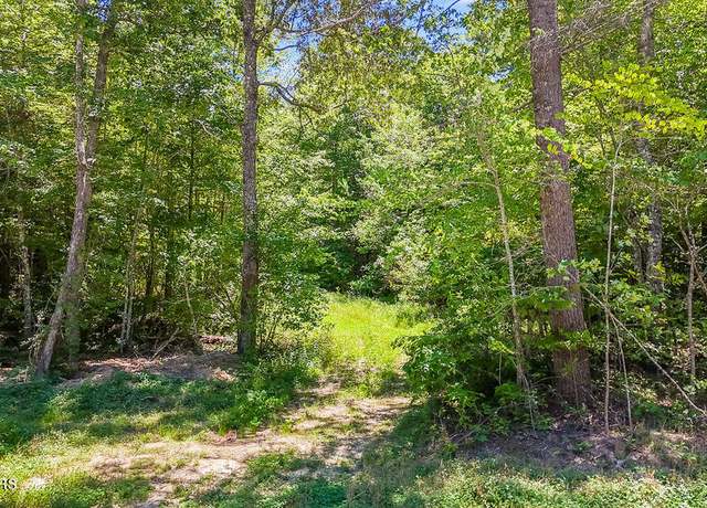 Property at Twin Bridge Rd, Deer Lodge, TN 37726