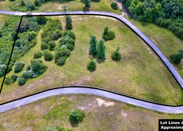 Property at Highway 62, Deer Lodge, TN 37726
