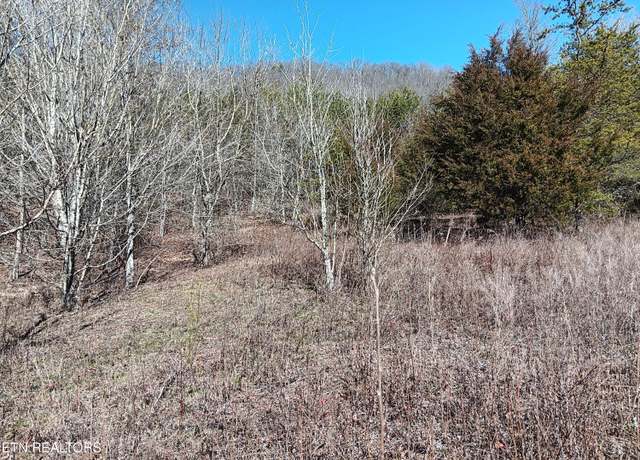 Property at 0 Crackers Neck Rd, Washburn, TN 37888