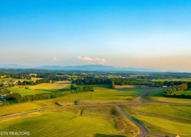 Property at Lot 56 Meadow Vista Way, White Pine, TN 37890