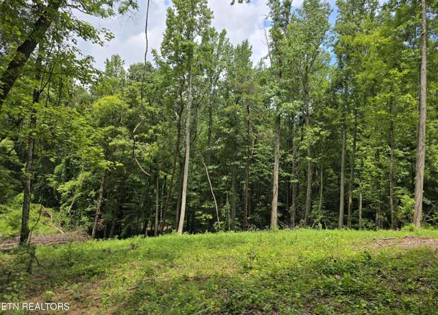 Property at 278 Norman Rd, Powell, TN 37849