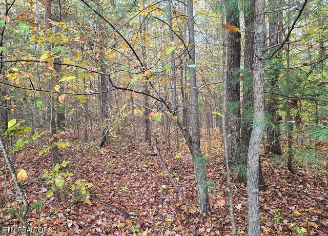 Property at 7.37 AC W Robbins Rd, Robbins, TN 37852