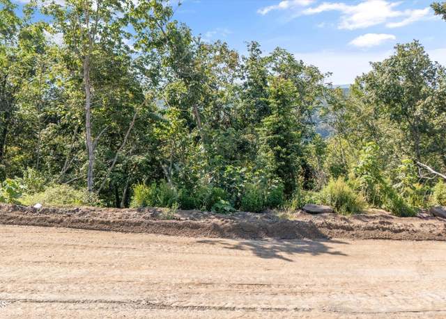 Property at Lot 105 Sommet Ridge East, Tazewell, TN 37879